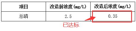 污水廠總磷處理效果