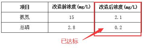 污水處理廠處理效果