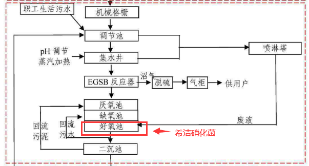 淀粉廠廢水處理工藝2